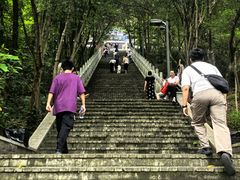 -成都老君山