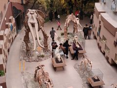 -陕西自然博物馆