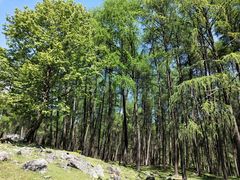 -硗碛藏寨·神木垒景区