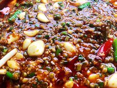 -陈胖子鱼庄(黄辣丁新津店)