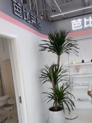 -babiline芭比莱恩半永久纹眉纹唇发际线