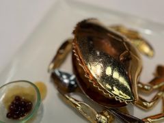 -晶荷轩(香港迪士尼乐园酒店)