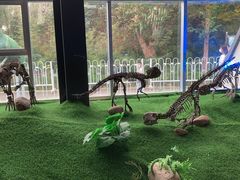 -诸城市恐龙博物馆
