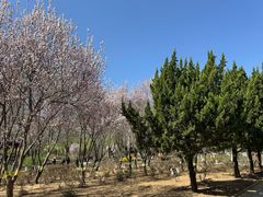 -石家庄市植物园