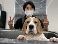 -柚子宠物(伊珊娜调理店)