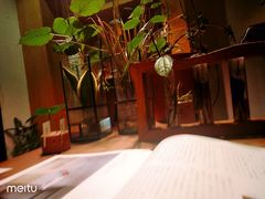 -柴务处·柴犬主题狗咖