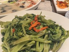 -金翠皇宫粤菜·点心·海鲜(翡翠店)