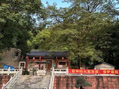 -水濂山森林公园