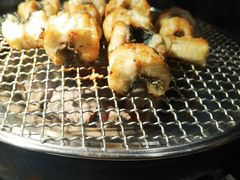 -吉力烤鳗