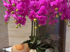 -上海小南国(国发店)