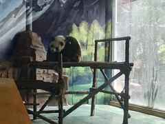 -五龙山野生动物王国