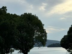 -逸廊大堂吧-下午茶·简餐-千岛湖自由洲际殿