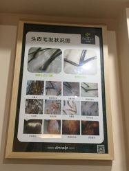 -丝客富脱发养发头皮馆