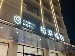 -松果酒店(农业路河南博物院店)