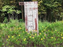 -长田漾湿地公园