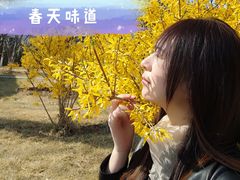 -西海子公园