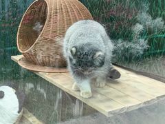 -青藏高原野生动物园
