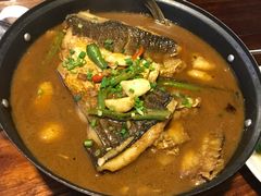-四季春