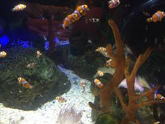 -沈阳海洋探索中心