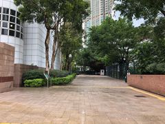 -九龙公园