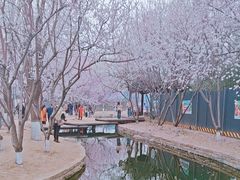 -春风习习