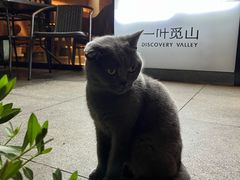 -一叶觅山(半边街店)