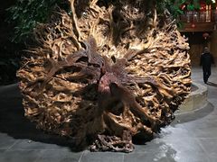 -龙达温泉生态城
