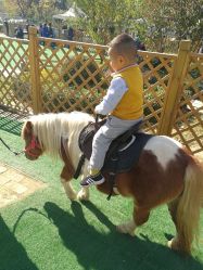 -萌宠亲子动物乐园(槐房万达店)