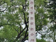 -柳侯公园