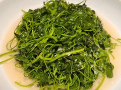 清炒木心菜-谢氏老金口(江夏武昌大道店)
