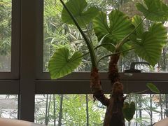 -芭札·Thai泰国餐厅(同和金铂天地店)