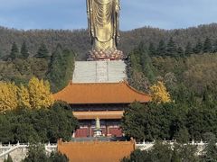-中原大佛景区