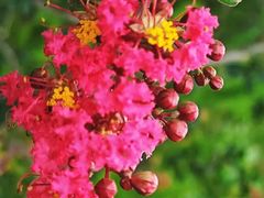 -上海植物园·停车场