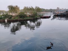 -后海公园