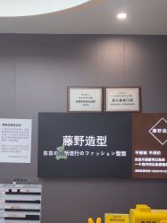 -藤野造型烫染