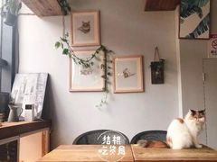 -吉丁鸟咖·异宠·寄养