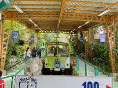 -神户市立六甲山牧场