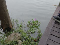 -长广溪湿地公园
