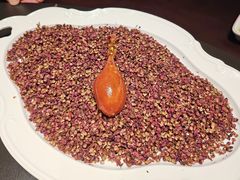 -秀儿四九城·新京菜(亚运村鸟巢店)