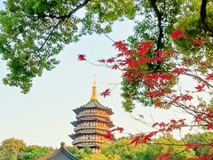 -浙江西子宾馆·瑶园咖啡厅