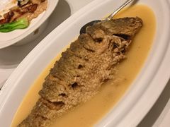 红烧黄河大鲤鱼.-豫满楼(郑东新区店)