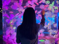 -合肥海洋世界