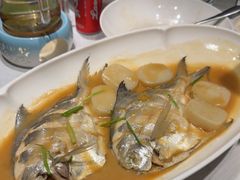 -开海·红岛海鲜虾水饺(石老人店)