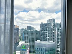 -新加坡乌节希尔顿酒店 (SG Clean)