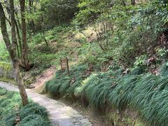 -梦姑塘文化公园