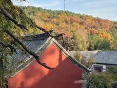 -泰山风景名胜区-普照寺