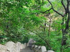 -千佛山风景名胜区