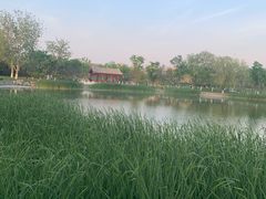 -西海子公园