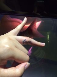 iphone_upload_pic-周忆刺青原创设计定制