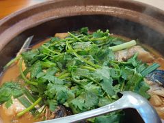-九道菜有鸡鱼头(石鼓路店)